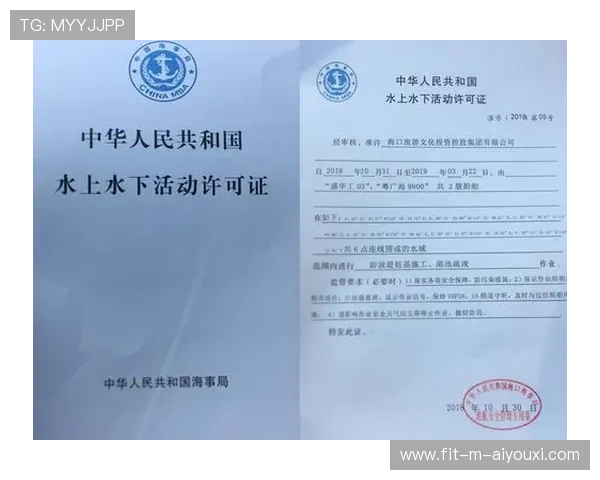 国际帆板公开赛海事救援联动演练总结与建议书