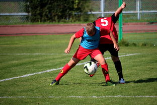 爱游戏官网充值-中国足球俱乐部运营效率调查，中国足球俱乐部运营效率调查问卷